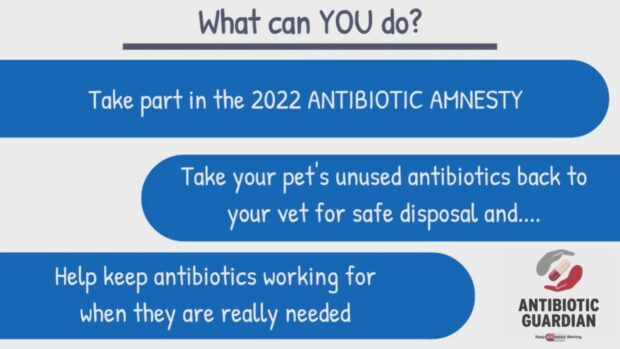 reducing-antibiotic-use-in-pets-veterinary-medicines-directorate