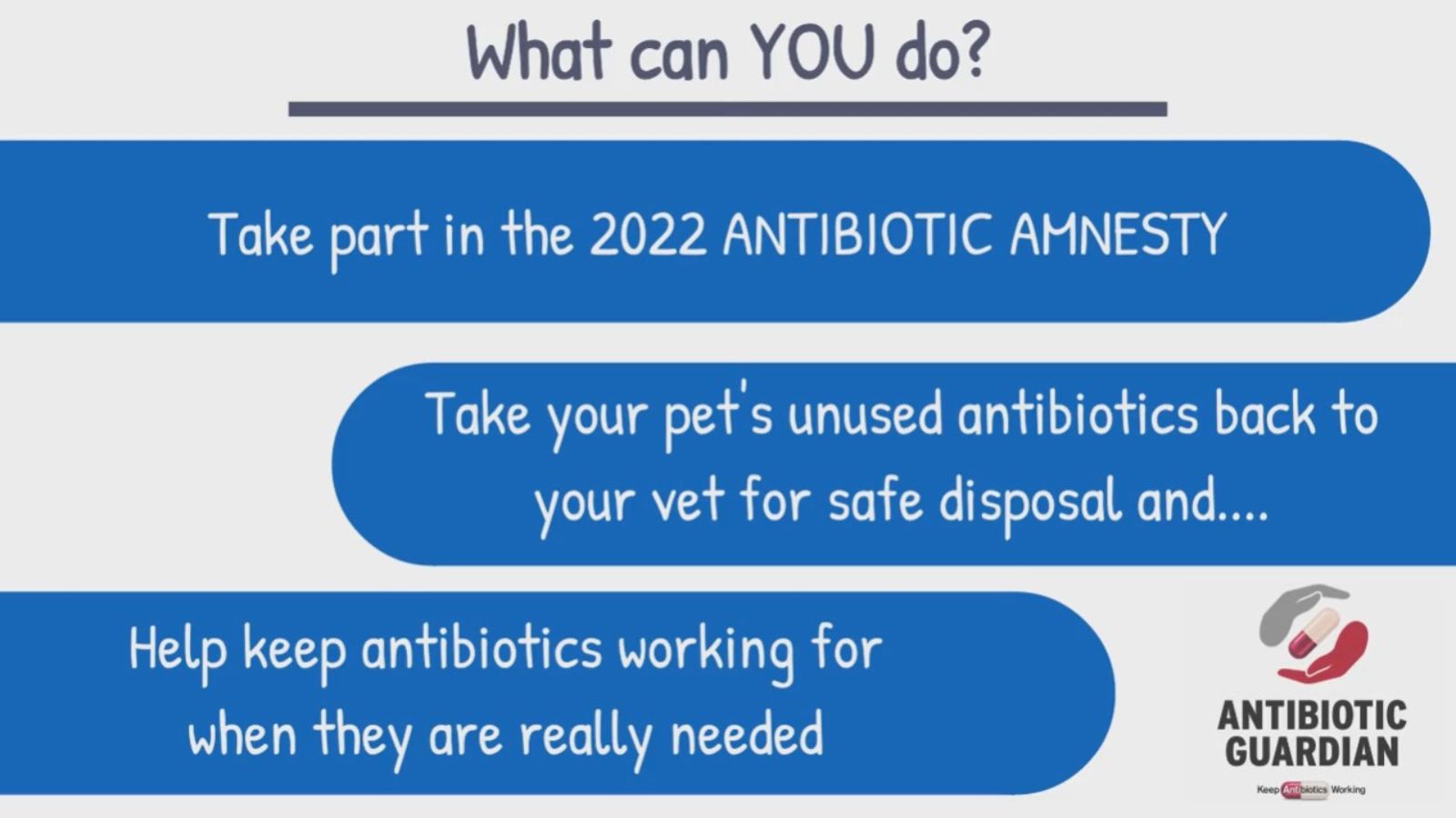 reducing-antibiotic-use-in-pets-veterinary-medicines-directorate